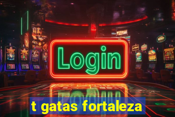 t gatas fortaleza